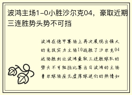 波鸿主场1-0小胜沙尔克04，豪取近期三连胜势头势不可挡