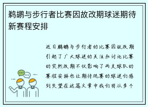 鹈鹕与步行者比赛因故改期球迷期待新赛程安排