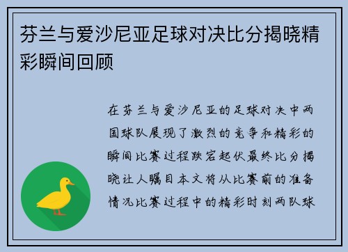 芬兰与爱沙尼亚足球对决比分揭晓精彩瞬间回顾