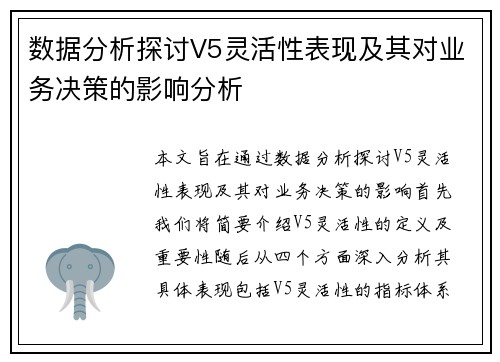数据分析探讨V5灵活性表现及其对业务决策的影响分析