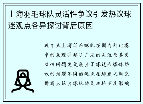 上海羽毛球队灵活性争议引发热议球迷观点各异探讨背后原因